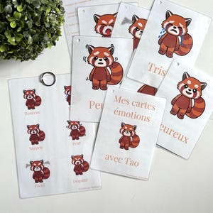 Cartes émotions - Panda roux