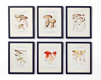 ヴィンテージ スペース エイジ レッド マッシュルーム ランプ