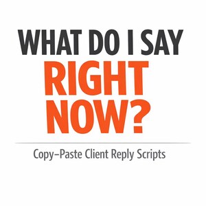 Könnte beinhalten: Weißer Hintergrund mit dem Text "WHAT DO I SAY RIGHT NOW?" in Schwarz und Orange. Darunter steht der Text "Copy-Paste Client Reply Scripts" in kleinerer, grauer Schrift.