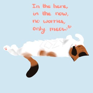 Cute, Motivational Cat wallpaper