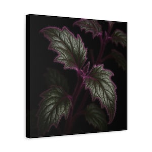 Canvas Print, Purple Passion Gynura Aurantiaca Leaves Botanical Wall Art, Stretched Matte Canvas, 1.25" Square