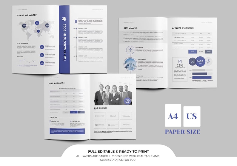 May include: A brochure with a white background and blue accents. The brochure includes charts, graphs, and text. The text includes "Where We Work", "Top Projects in 2022", "Our Values", "Annual Statistics", and "Sales Growth". The brochure is A4 and US paper size.