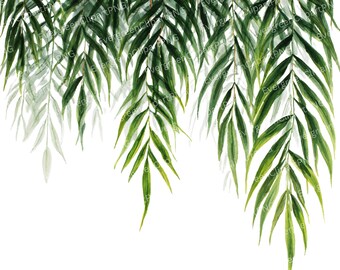 Watercolor Tropical Palm Leaf Clipart: Green Foliage PNG (Digital Download)