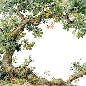May include: A watercolour illustration of an oak tree, featuring a gnarled trunk and branches laden with green and yellow leaves. Some leaves are turning brown. The artwork evokes a natural, botanical theme.