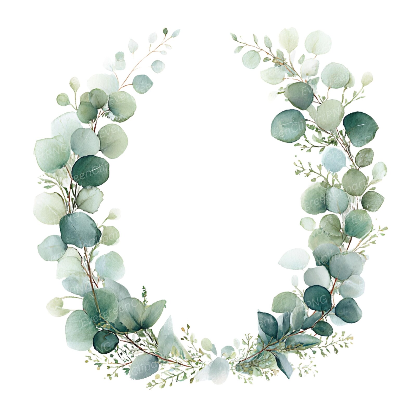Watercolor Eucalyptus Wreath Clipart, Greenery Frames (11 PNG Digital ...
