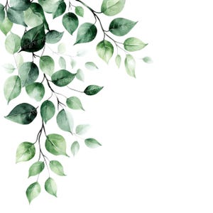 May include: Watercolor illustration of green leaves and branches on a white background. The leaves vary in shades of green, creating a natural and botanical design. The image is suitable for various design projects, including invitations and stationery.
