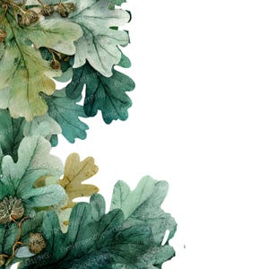 Pode incluir: Ilustração em aquarela de folhas de carvalho e galhos verdes e verde-azulado. As folhas têm uma aparência detalhada e texturizada, com variações de cor do verde claro ao verde-azulado profundo. Fundo branco.