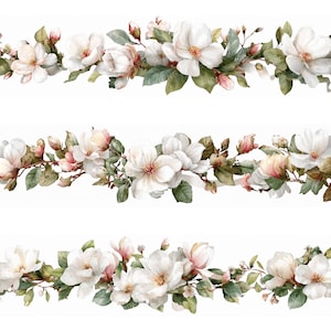 Könnte beinhalten: Aquarell-Blütenbordüre mit weißen Magnolienblüten, rosa Knospen und grünen Blättern. Die zarte Anordnung ist vor einem weißen Hintergrund platziert und erzeugt eine weiche und elegante Ästhetik. Ideal für Bastel- und Designprojekte.