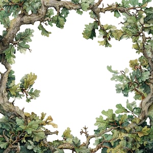 May include: Watercolor illustration of an oak tree branch frame. The image features detailed green leaves and textured brown branches, creating a natural border against a white background. The artwork has a realistic, botanical theme.
