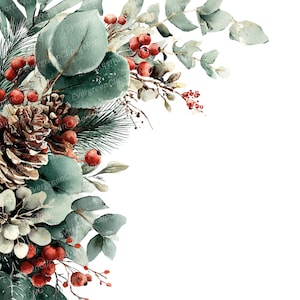 以下が含まれることがあります： 冬のフラワーアレンジメントの水彩イラスト。ユーカリの葉、松葉、赤い実、松ぼっくりが特徴です。白い背景を背景に、お祝いと自然な美しさを演出しています。