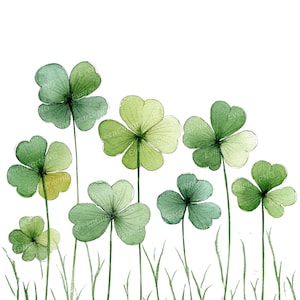 Può includere: Illustrazione ad acquerello di diversi quadrifogli in varie tonalità di verde, con steli delicati e fili d'erba in basso. I quadrifogli sono disposti su uno sfondo bianco pulito, creando un'estetica fresca e naturale.