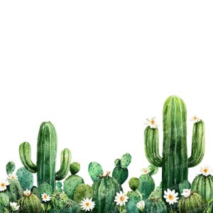 Watercolor Cactus Borders Clipart: Desert Succulent Frames (Digital Download)