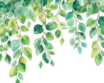 12 imágenes prediseñadas de hojas verdes en acuarela, conjunto PNG botánico (descarga digital), imágenes prediseñadas de primavera