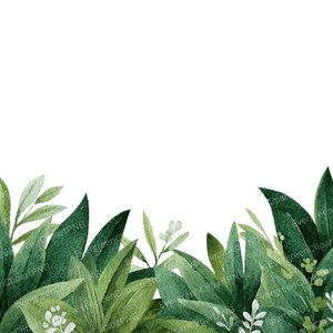 Peut inclure: Illustration à l'aquarelle de feuilles vertes luxuriantes et de petites fleurs blanches sur fond blanc. L'image présente diverses formes de feuilles et nuances de vert, créant un design botanique naturel.
