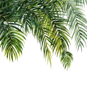 Watercolor Palm Branches Clipart: Tropical Greenery PNG (Digital Download)