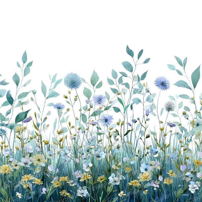 May include: Watercolor illustration of a wildflower meadow. The image features a variety of flowers in shades of blue, yellow, and white, with green foliage. The flowers are set against a white background, creating a fresh and natural aesthetic.