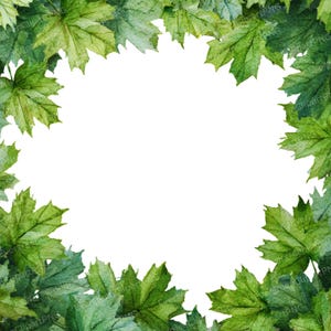 Maple Leaves Frame Clipart, 12 PNG Green Leaf Borders, Watercolor Botanical Frames, Transparent Background, Nature-Inspired Digital Download