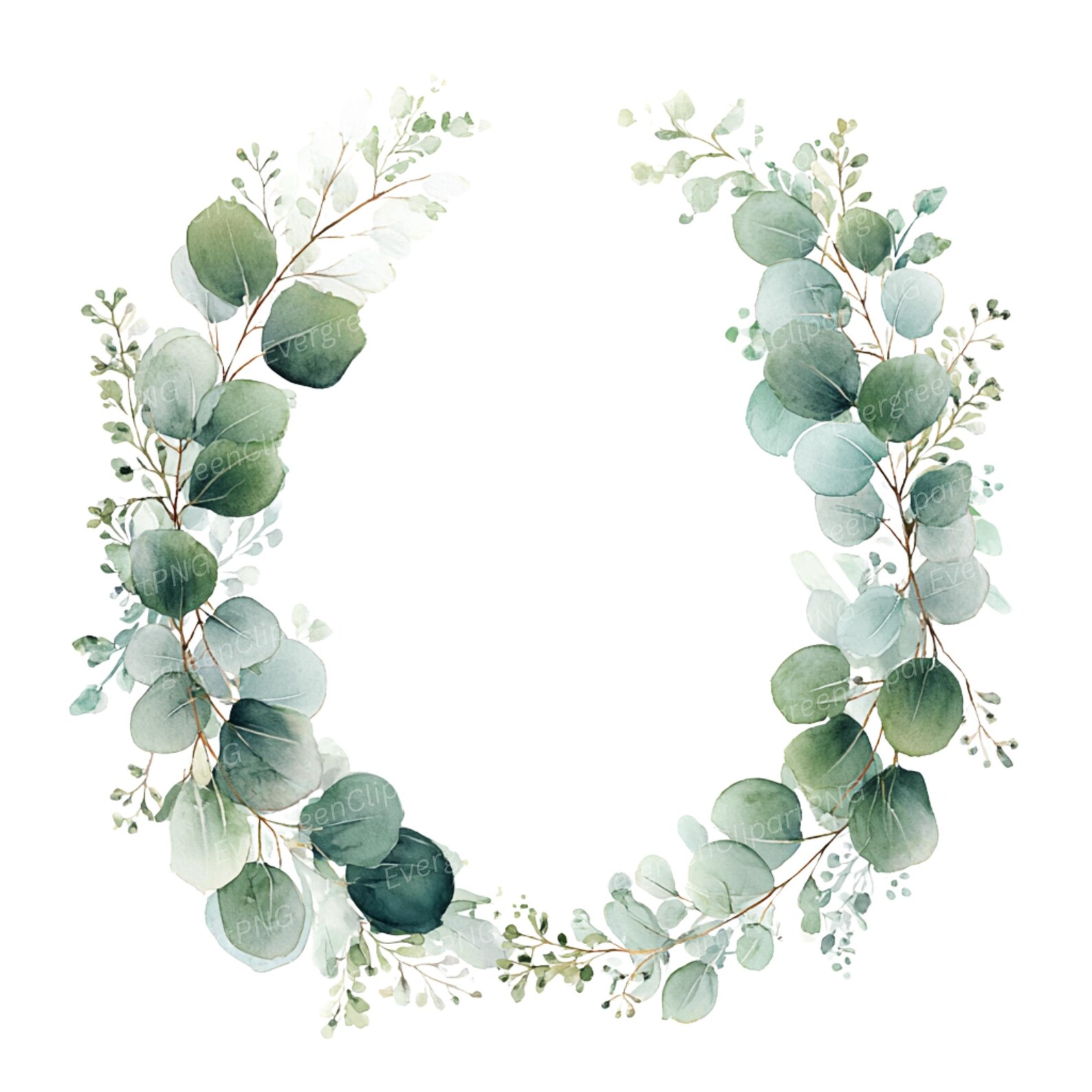 Watercolor Eucalyptus Wreath Clipart, Greenery Frames (11 PNG Digital ...