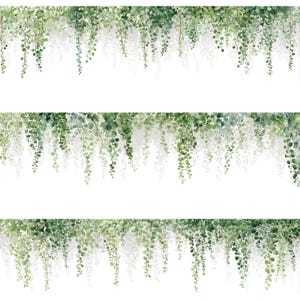 May include: Watercolor illustration of three horizontal bands of cascading green vines with small, round leaves. The vines hang down against a white background, creating a natural, botanical design. The leaves vary in shades of green.