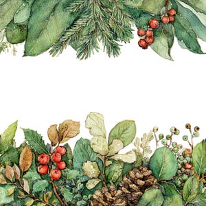 Puede incluir: Ilustración en acuarela con un borde botánico festivo. El diseño incluye hojas verdes, bayas rojas, agujas de pino y una piña. La obra de arte tiene una estética natural, pintada a mano, ideal para proyectos navideños.