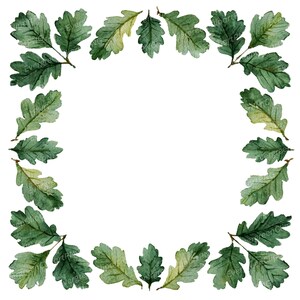 Puede incluir: Ilustración en acuarela de un marco cuadrado compuesto por hojas de roble verdes. Las hojas, en tonos de verde y amarillo, están dispuestas alrededor de un espacio blanco, creando un diseño natural y detallado.