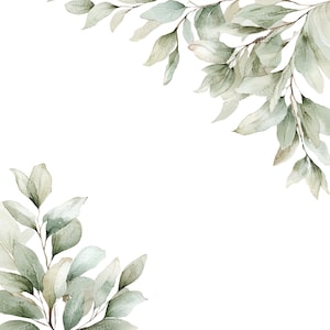 May include: Watercolor illustration of eucalyptus leaves in shades of green and gray, arranged in the upper right and lower left corners. The leaves have a soft, delicate appearance against a white background, creating a natural, botanical design.