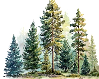 Watercolor Forest Clipart PNG: Green Trees, Woodland Scrapbooking (Digital Download), Spring Clipart