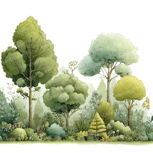 May include: Watercolor illustration of a forest scene with various green trees, shrubs, and foliage. The image features a variety of tree shapes and sizes, with a mix of light and dark green hues. The text "EvergreenClipartPNG" is visible in the image.