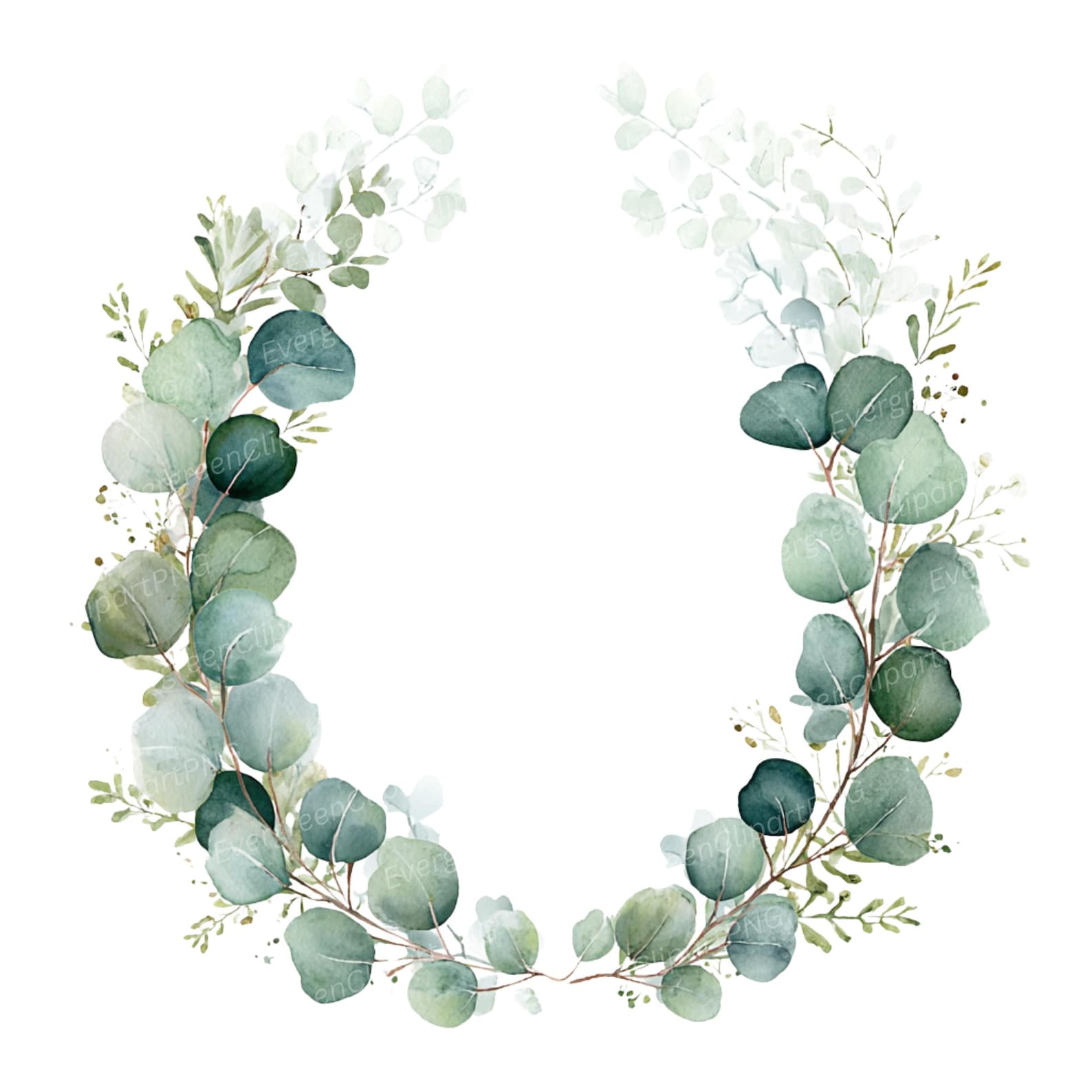 Watercolor Eucalyptus Wreath Clipart, Greenery Frames (11 PNG Digital ...
