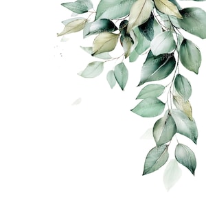 Può includere: Illustrazione ad acquerello di foglie di eucalipto in tonalità di verde e giallo tenue. Le foglie sono disposte in un design ad angolo, su sfondo bianco. Adatto a vari progetti di design.