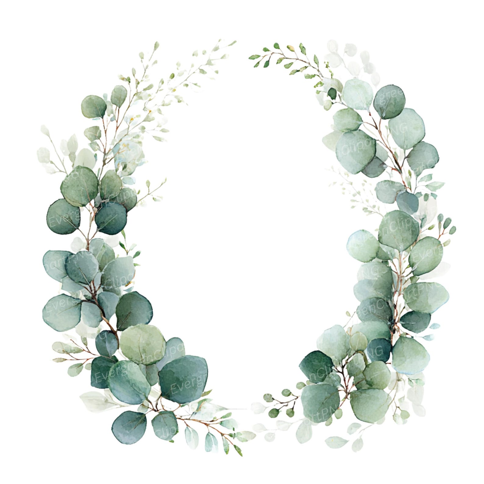 Watercolor Eucalyptus Wreath Clipart, Greenery Frames (11 PNG Digital ...