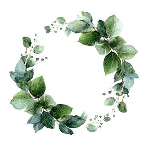 May include: Watercolor illustration of a circular eucalyptus wreath. The wreath features various shades of green leaves and small sprigs, creating a natural and elegant design. Perfect for wedding invitations or home decor.
