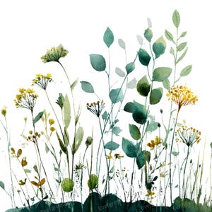 May include: Watercolor painting of wildflowers and foliage in shades of green, yellow, and brown against a white background. The artwork features delicate stems, leaves, and flower heads, creating a natural and airy aesthetic.