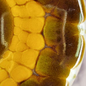 May include: Close-up of a decorative ceramic dish with a textured, organic pattern. The design features a combination of yellow and olive-green hues, with a glossy finish. The edges of the dish are outlined in white.
