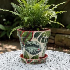 May include: A tapered ceramic plant pot with a matching saucer, featuring a botanical print of various green leaves and red accents. A vibrant green fern is planted inside the pot, with its fronds extending outward from the top rim.