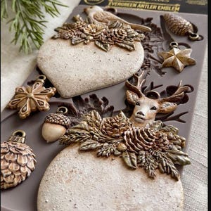 May include: A brown silicone decor mould labeled Evergreen Antler Emblem featuring various holiday-themed shapes including a deer head with pinecones, a bird, a star, a snowflake, an acorn, and two large circular ornaments with textured surfaces.