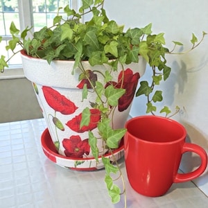 Pretty Flower Pot Spring Garden Planter Gift Holiday Housewarming Kitchen Windowsill Herb Container Indoor Plant Succulent Drainage Hole