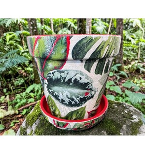 Painted Terracotta Pot Indoor Planter Botanical Plant Container Gift Houseplant Ceramic Flowerpot Monstera Leaf Holder Handmade Pottery