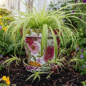 Terrakotta Blumentopf Pinke Gänseblümchen Chrysanthemen Design Handgefertigte Pflanzgefäß Indoor Sukkulenten Display Einzigartige Eine Art Landhaus Stil Cottage