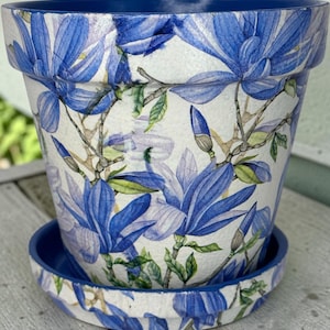 May include: A tapered flower pot with a matching saucer, featuring a white base decorated with a pattern of blue magnolia flowers, green leaves, and brown branches. The interior rim and the exterior edge of the saucer are painted in solid blue.