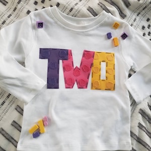 Girl building block shirt, 2nd Building blocks birthday shirt, two 2 brick birthday theme, building blocks party, raglan