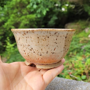 High-fired Bonsai Pot - 11 x 11 x 5.5 cm (4" x 4" x 2 1/4") - Peach - Round - Succulent/Orchid/ Pottery/Ceramics