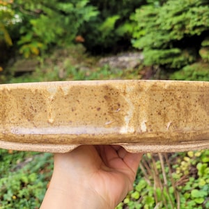 May include: A shallow, oval-shaped ceramic bonsai pot with a speckled tan and beige glaze. The exterior features a textured, earthy finish with subtle drip patterns along the sides and a raised, unglazed footed base for stability.