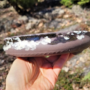 Puede incluir: Una maceta de bonsái de cerámica ovalada hecha a mano. La maceta es de color marrón oscuro con un borde texturizado y un interior vidriado brillante de color azul oscuro y negro. Acentos blancos y azul claro pintados alrededor del borde.