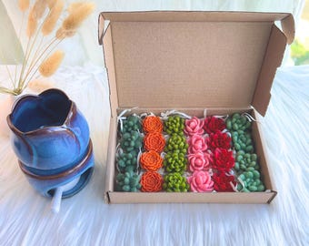 Pastilhas de cera aromáticas com aroma de flor de cacto – 24 unidades | Presente para ela | Candliya