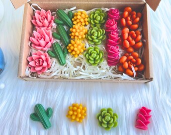 Pastillas de cera aromáticas con aroma a flor de cactus – 23 piezas de soja / Regalo para ella / Candliya