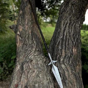 May include: A spear with a long, dark wooden shaft and a silver-colored, pointed blade. The blade has an intricate etched pattern. The spear is leaning against a tree trunk, with a blurred green background.