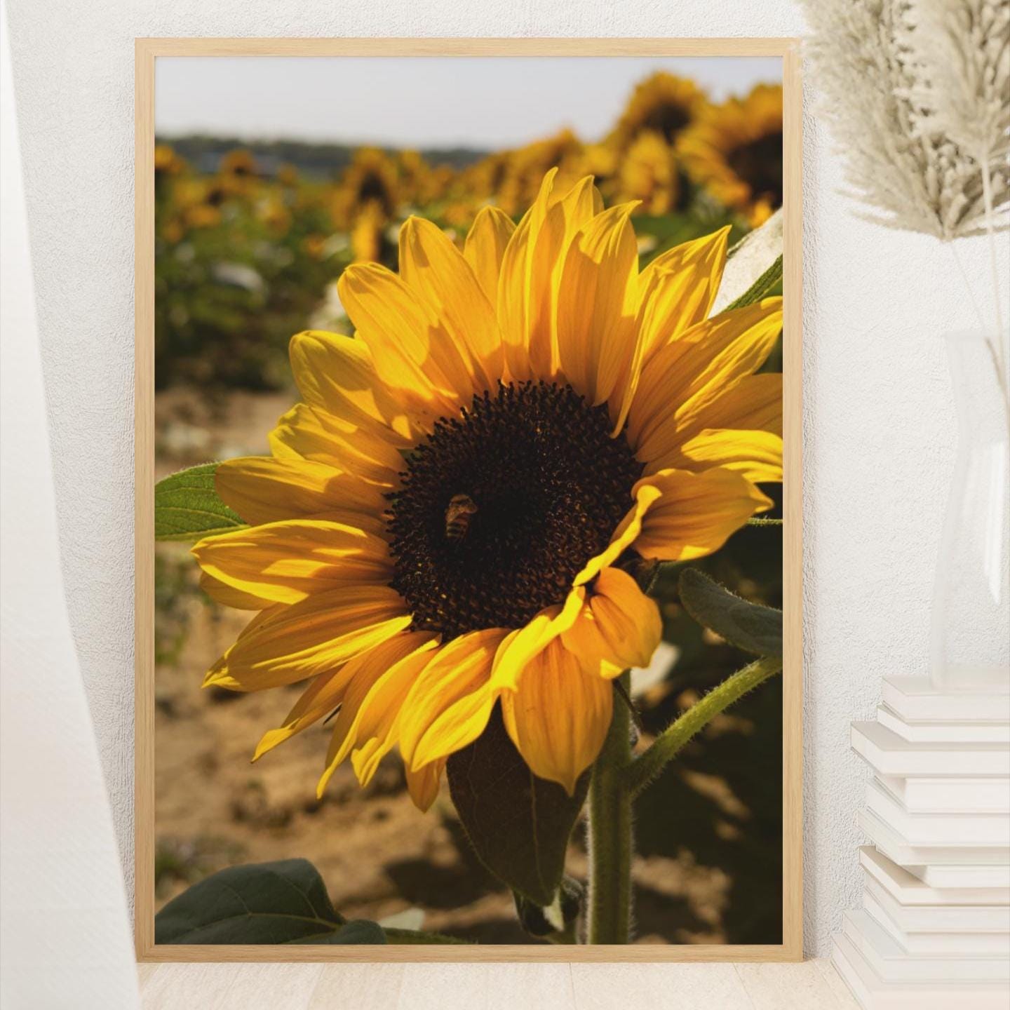 Framed Sunflower Wall Art – Botanical Nature Photography Print, Minimalist Home Deco