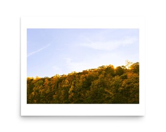 Golden Forest Wall Art – Serene Sunset Landscape Print, Minimal Nature Photo, Autumn Trees
