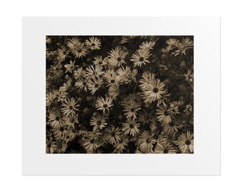 Vintage Floral Rolled Poster: Botanical Giclée Print Wall Art